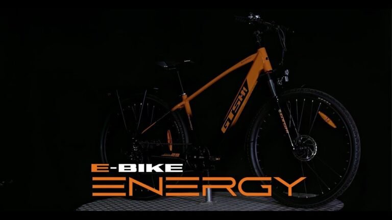 Bicicleta GTSM1 E Bike Energy 350W