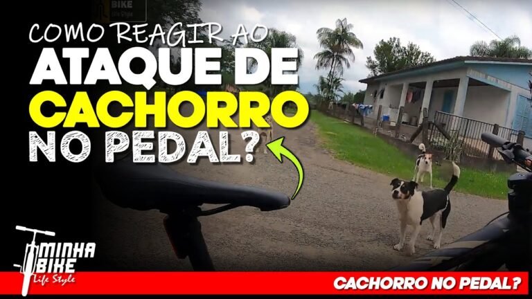 O QUE FAZER SE UM CACHORRO ATACAR VOCE DURANTE O