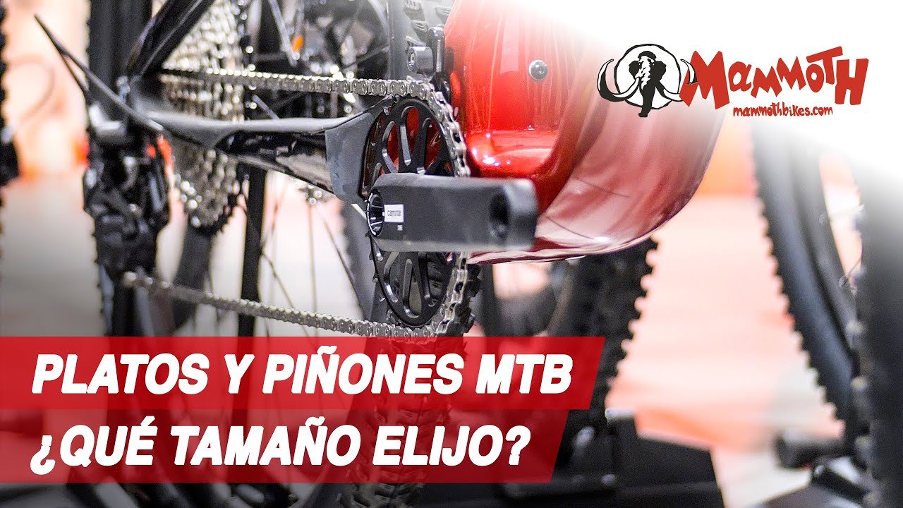 Bicicletas discount mammoth precio