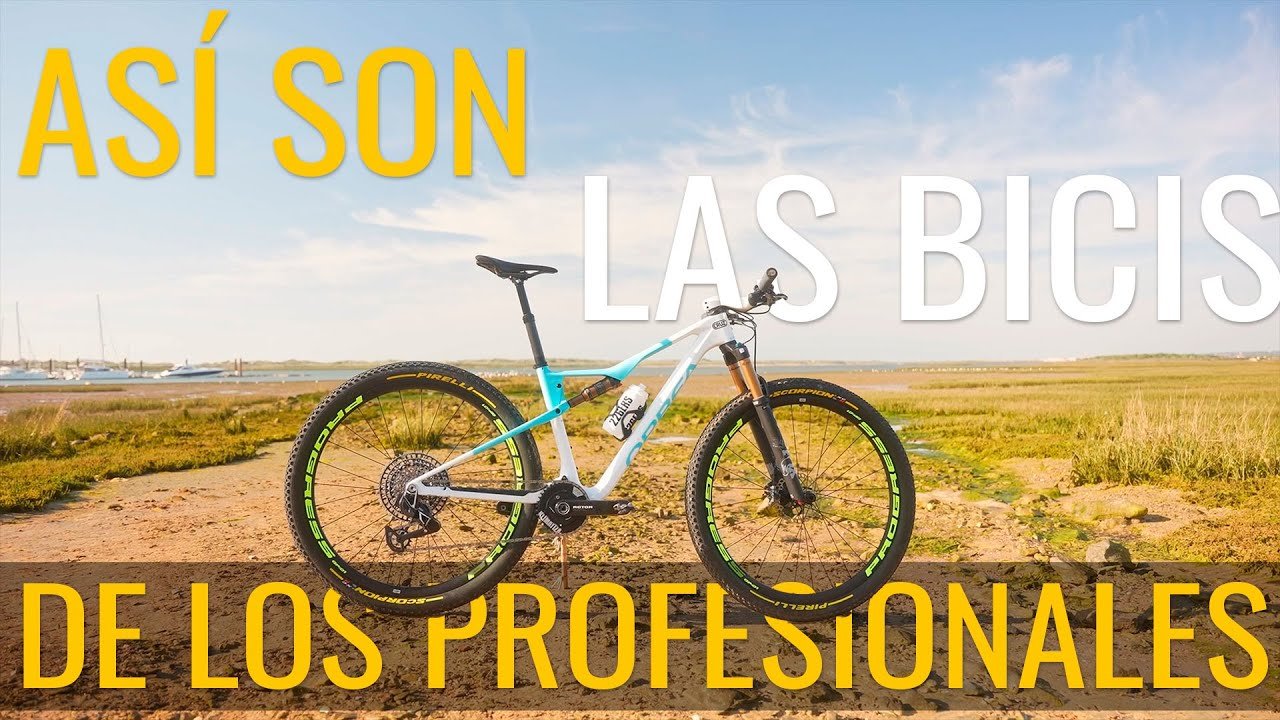 Componentes de best sale una bicicleta mtb