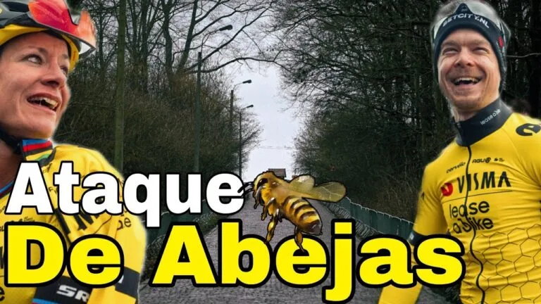 Resumen Omloop Het Nieuwsblad 2024 Edicion Masculina y Femenina